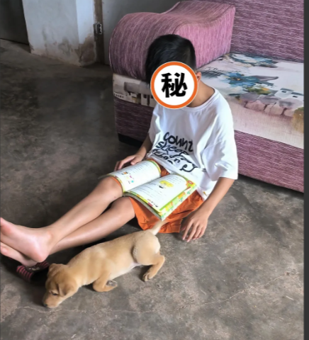 小孩养狗可以培养耐心和爱心！