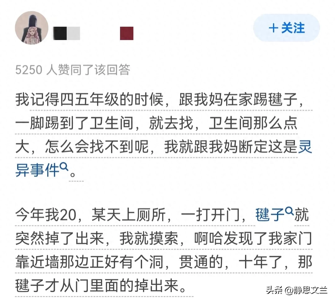 _迷你世界怎么让土块上长草_听叶回答读者疑问