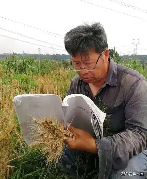 教授在客厅筛麦种走红，本人要求删除视频_教授在客厅筛麦种走红，本人要求删除视频_