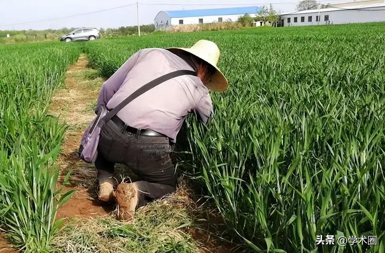 教授在客厅筛麦种走红，本人要求删除视频__教授在客厅筛麦种走红，本人要求删除视频