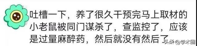 博士生抓住同门往自己培养基里倒酒精，整个实验室被拖垮自己延毕_博士生抓住同门往自己培养基里倒酒精，整个实验室被拖垮自己延毕_