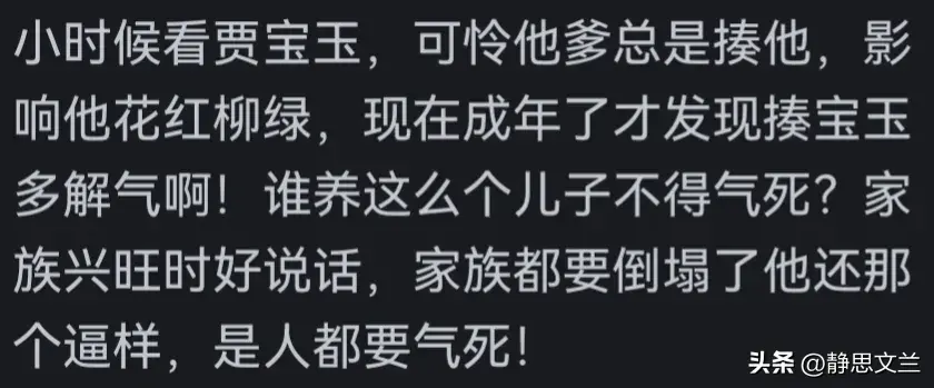 红楼遗梦贾政_红楼人家_