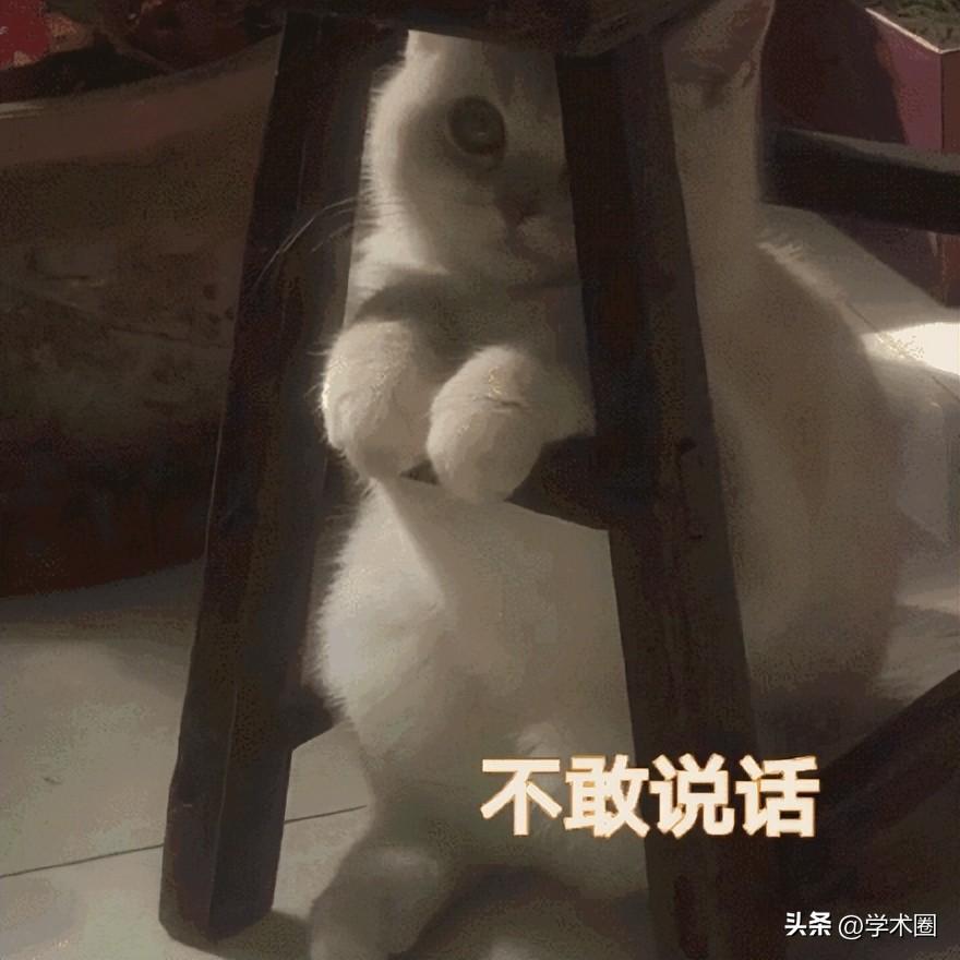 导师逝世__博士生导师最年轻