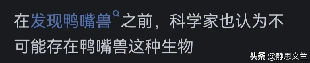 _林时完继承者们_任时完继承者们客串谁