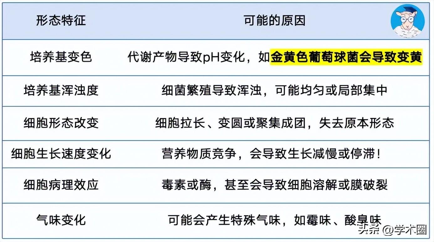 惨痛！研究生因用错细胞系，导致课题组被疯狂撤稿 ……_惨痛！研究生因用错细胞系，导致课题组被疯狂撤稿 ……_