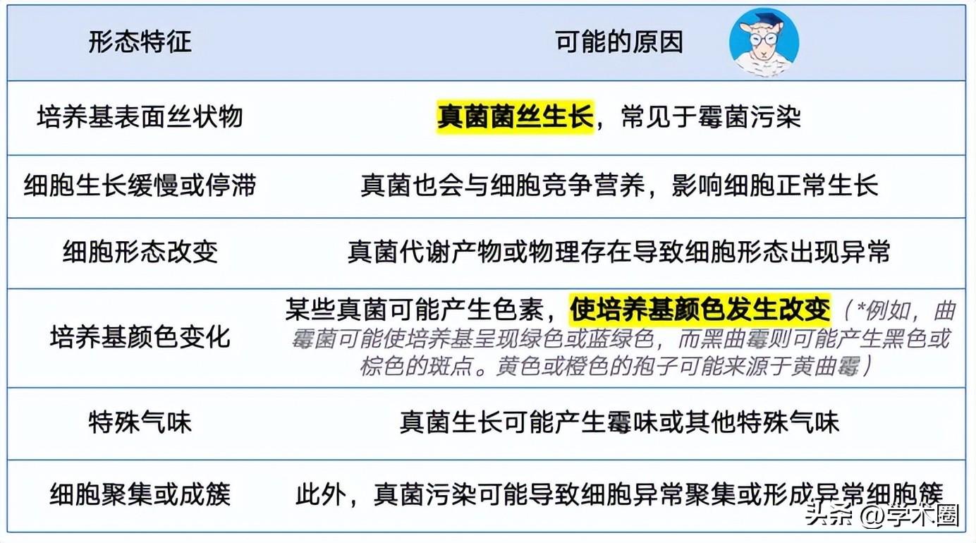 惨痛！研究生因用错细胞系，导致课题组被疯狂撤稿 ……_惨痛！研究生因用错细胞系，导致课题组被疯狂撤稿 ……_