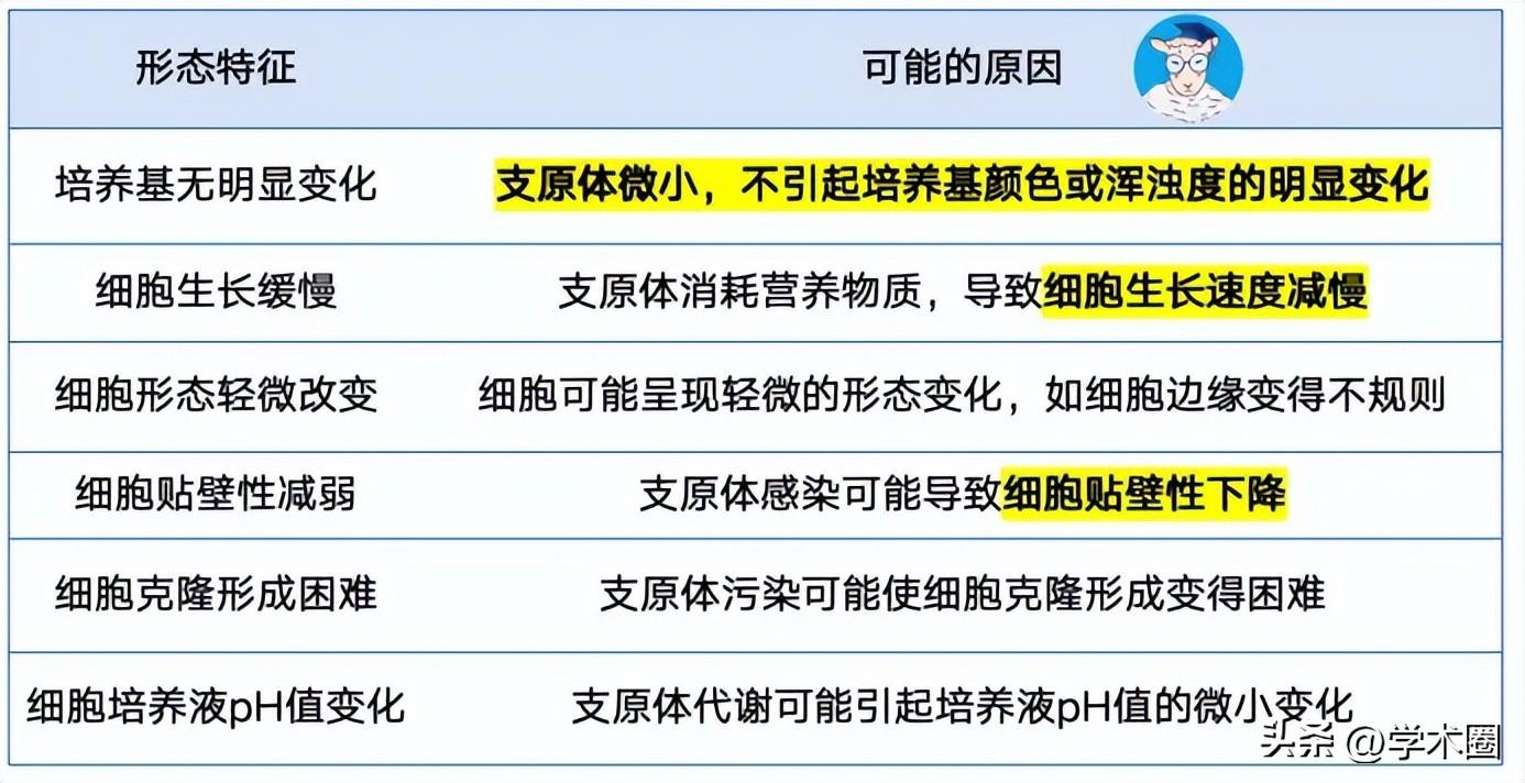 惨痛！研究生因用错细胞系，导致课题组被疯狂撤稿 ……_惨痛！研究生因用错细胞系，导致课题组被疯狂撤稿 ……_