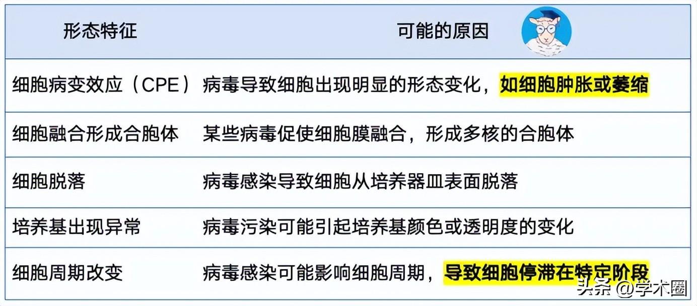 惨痛！研究生因用错细胞系，导致课题组被疯狂撤稿 ……__惨痛！研究生因用错细胞系，导致课题组被疯狂撤稿 ……