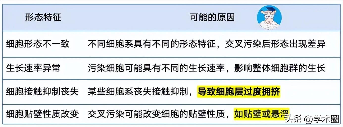 _惨痛！研究生因用错细胞系，导致课题组被疯狂撤稿 ……_惨痛！研究生因用错细胞系，导致课题组被疯狂撤稿 ……